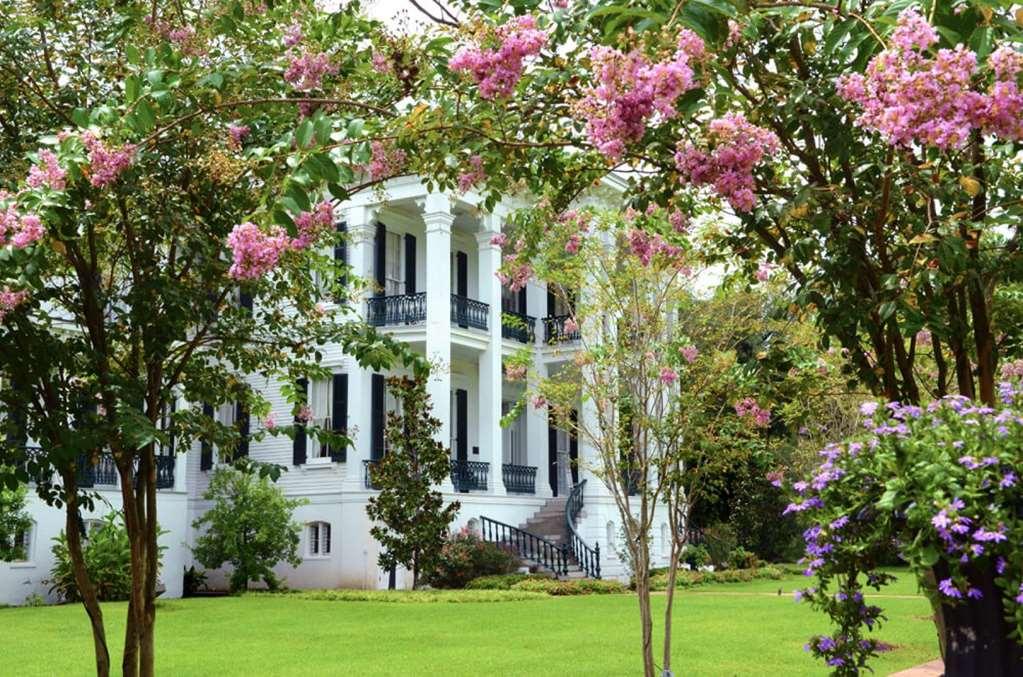 Nottoway Plantation And Resort White Castle Екстер'єр фото